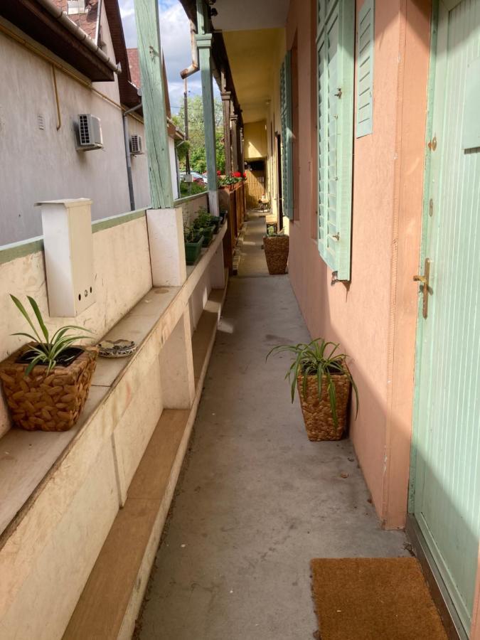 GyöngyösMentha House公寓 外观 照片